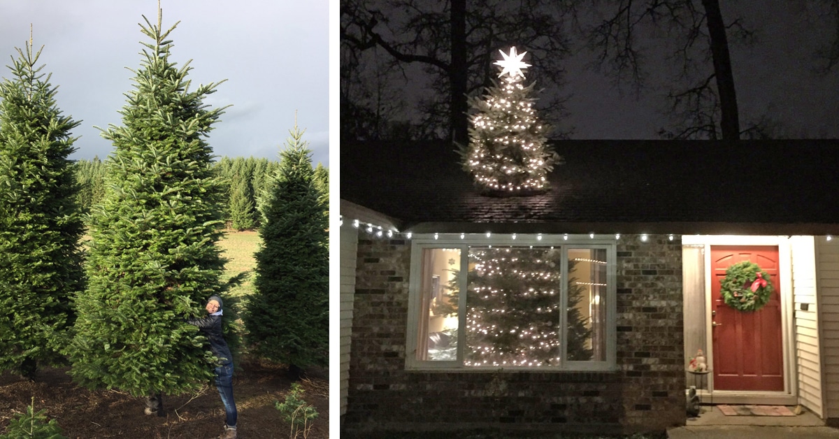Family Finds a Clever Way to Display Their 20Foot Christmas Tree My