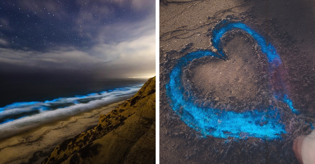 Phenomenon Is Making San Diego’s Beaches Glow Blue at Night