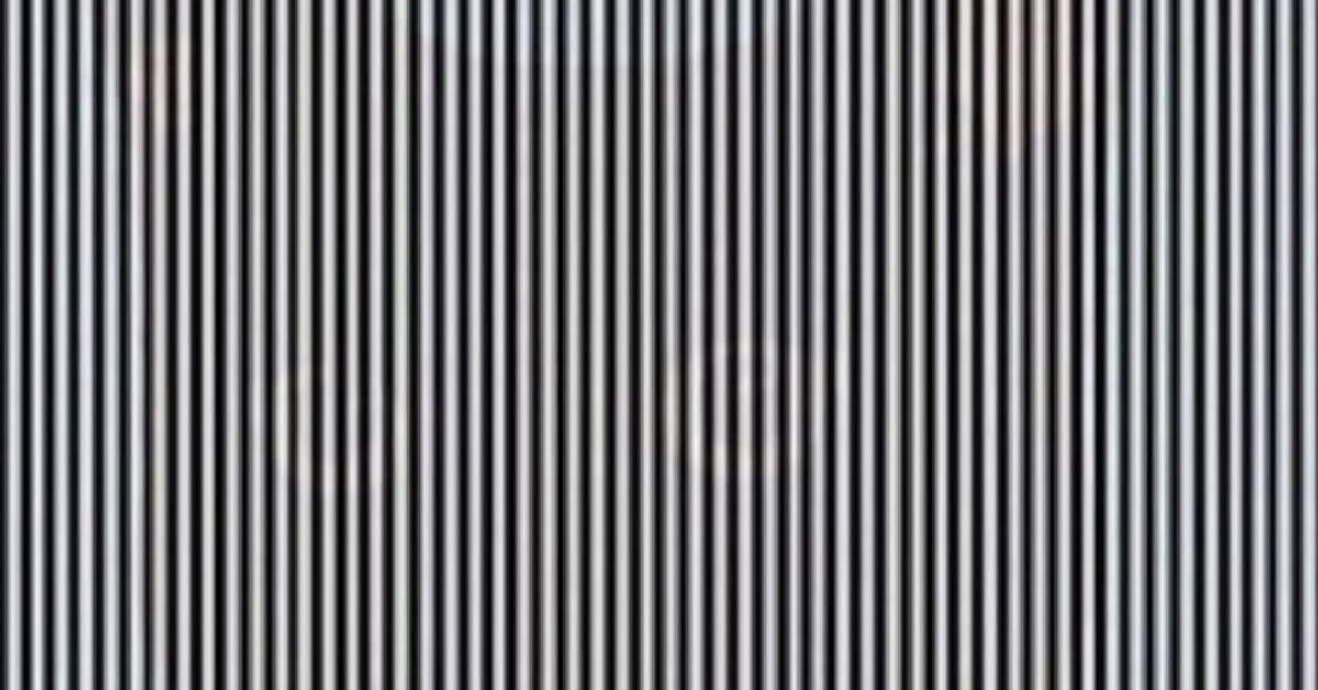 You Need to Shake Your Head to See the Hidden Animal in This Optical Illusion My Modern Met