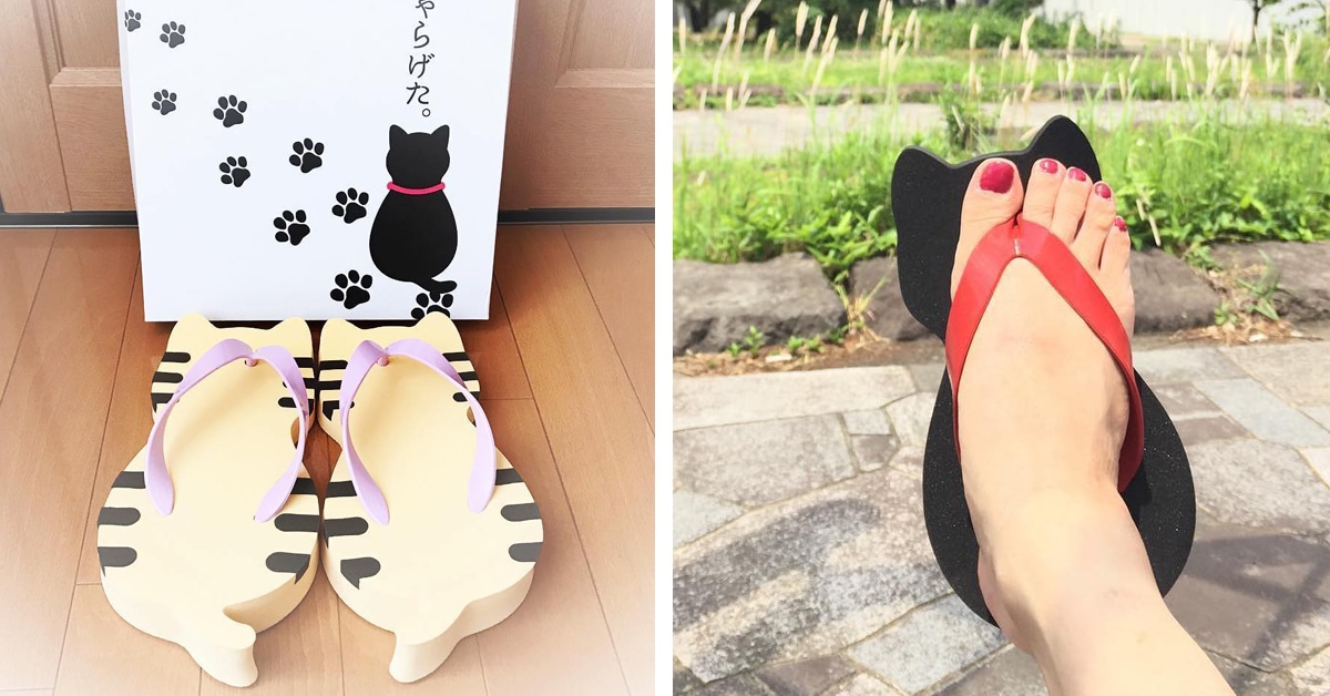 Quirky CatShaped Flip Flops are the Puuurfect Addition to Summer