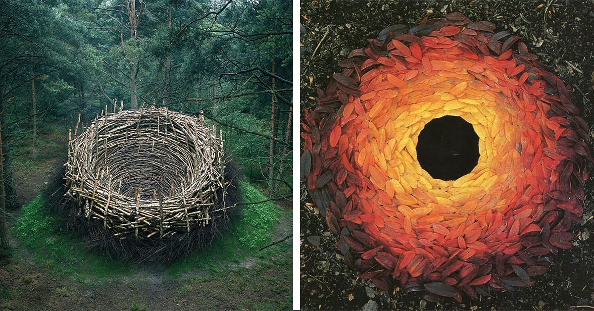 6 Environmental Artists Who Celebrate Nature and Promote Positive ...