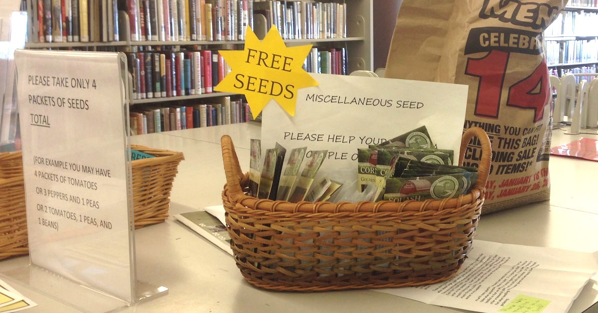 Public Libraries Are Handing Out Free Seed Packets to Promote Sustainability My Modern Met