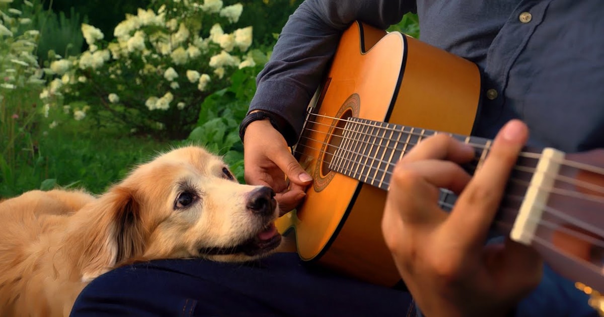 Musician Shares Goodbye Tribute to His Dog With an Acoustic Cover of