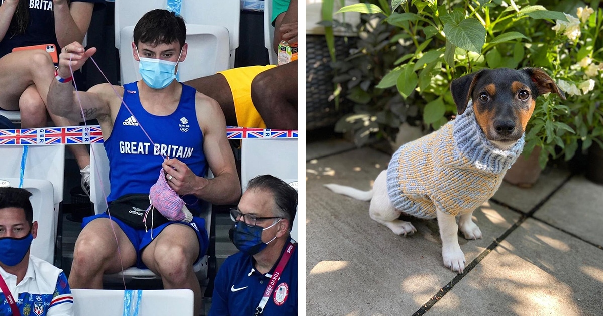 British Diver Tom Daley Goes Viral for Knitting a Dog Sweater in the